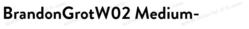 BrandonGrotW02 Medium字体转换